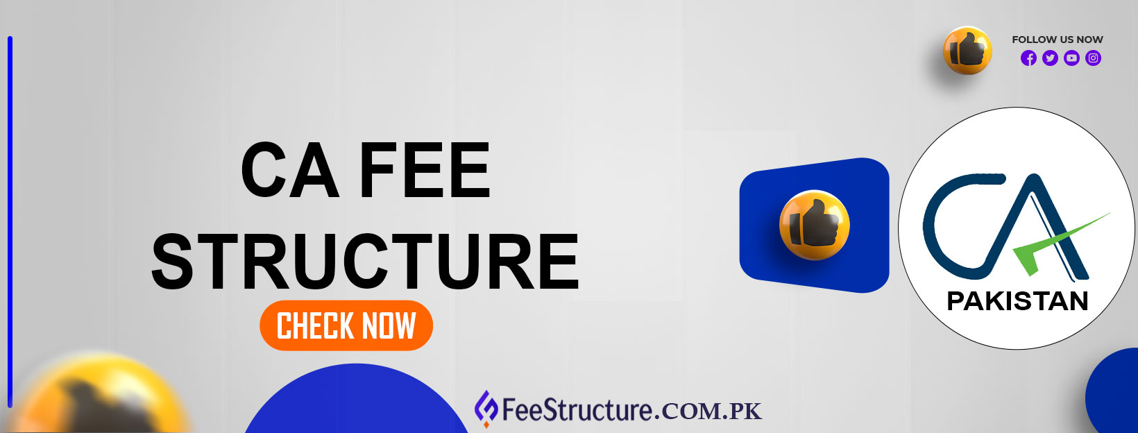 CA Fee Structure