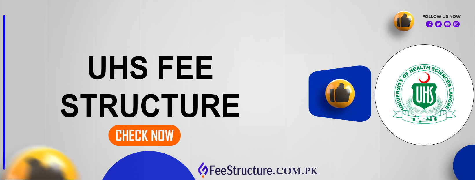 UHS Fee Structure