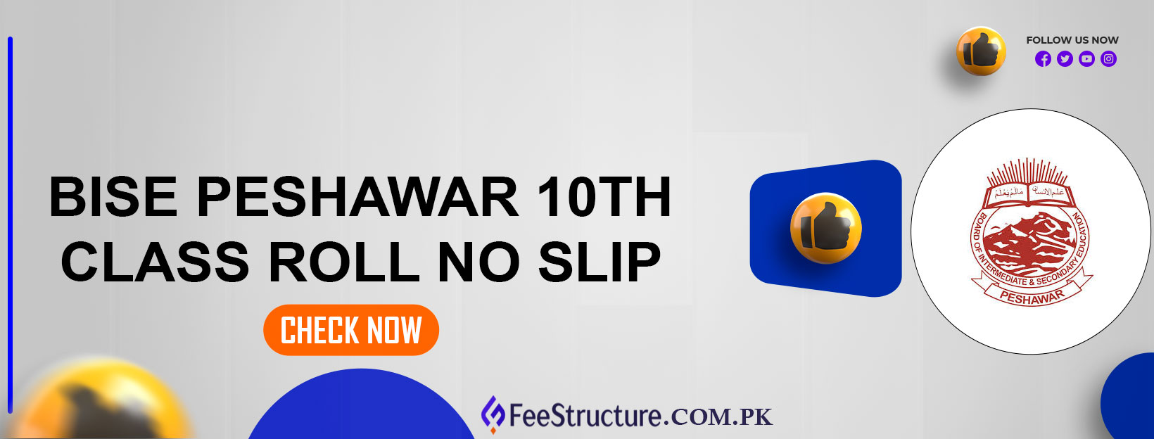 BISE Peshawar 10th Class Roll No Slip