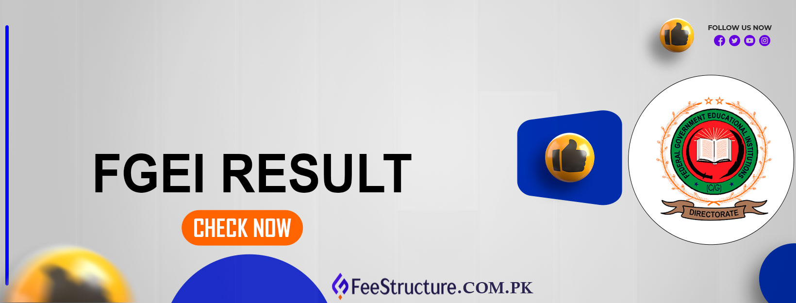 FGEI Result