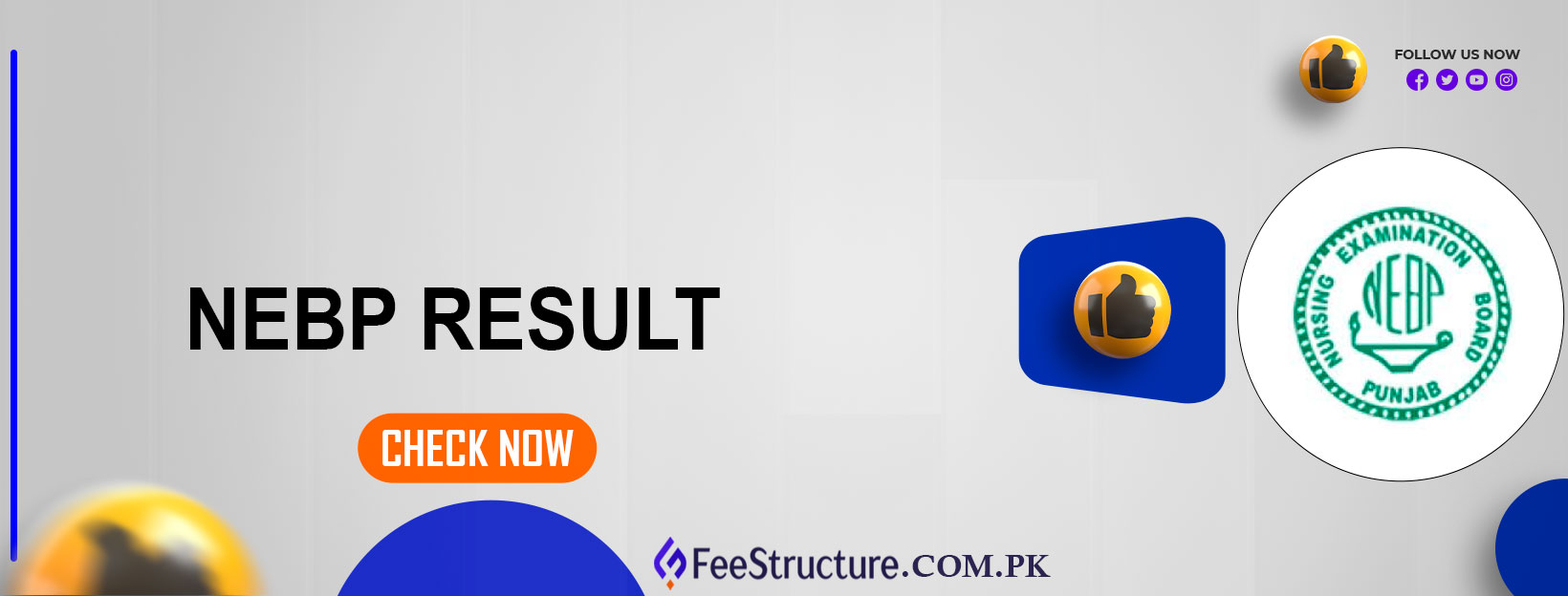 NEBP Result