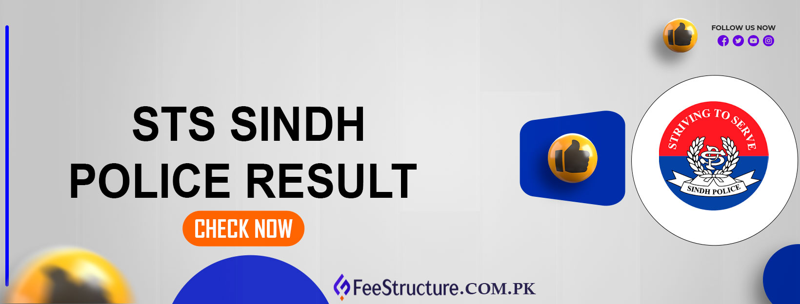 STS Sindh Police Result