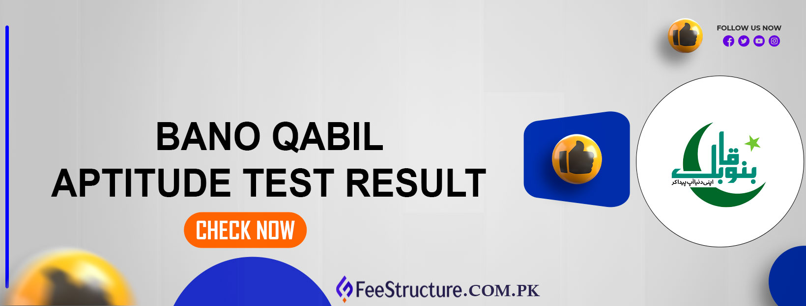 Bano Qabil Aptitude Test Result
