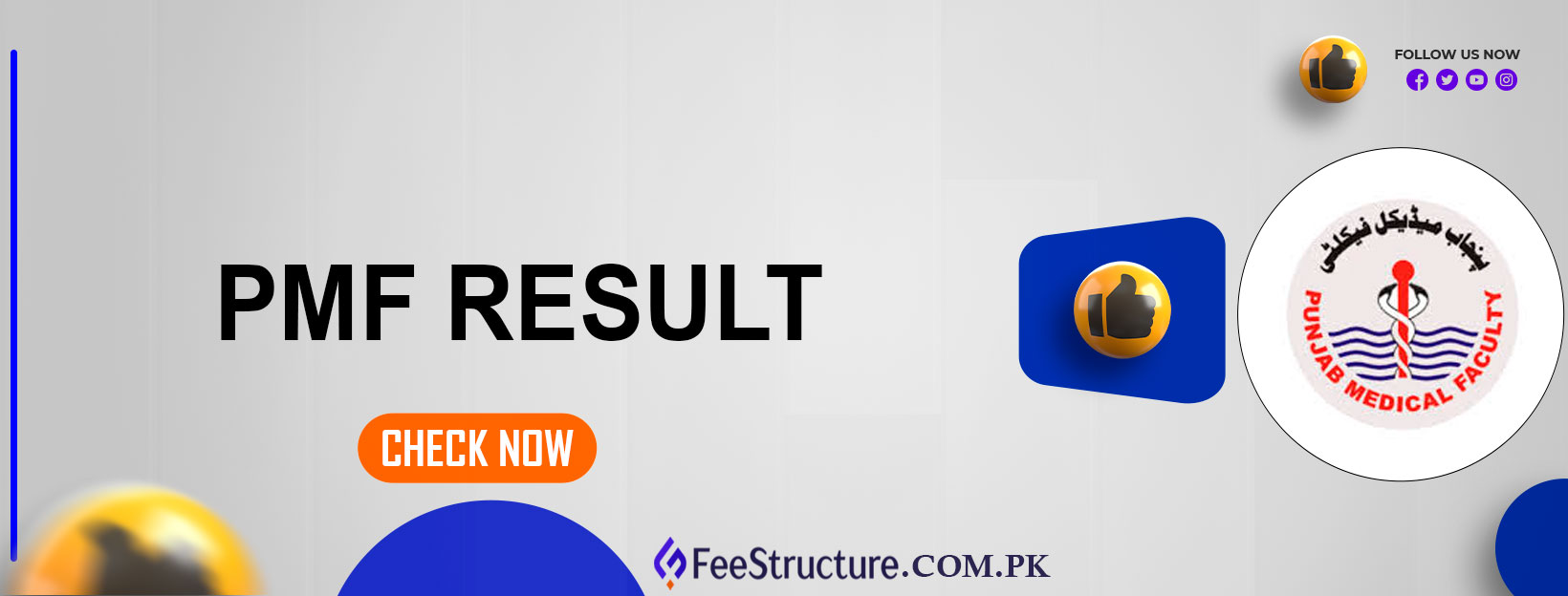 PMF Result