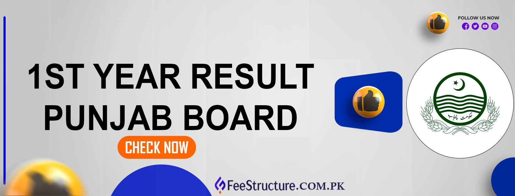 1st Year Result Punjab Board